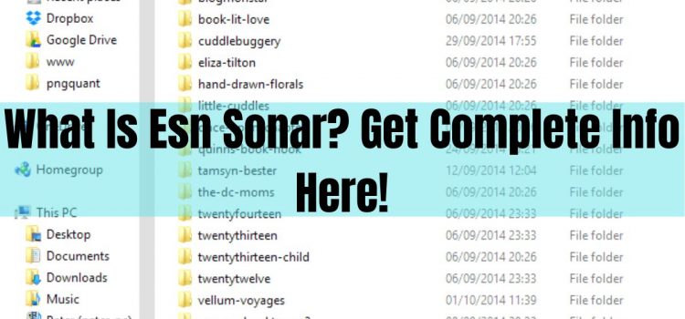 What Is Esn Sonar? Get Complete Info Here!