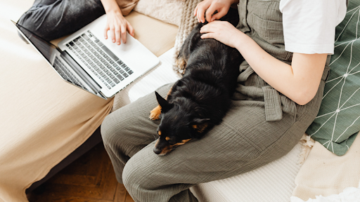 Developmental Milestones